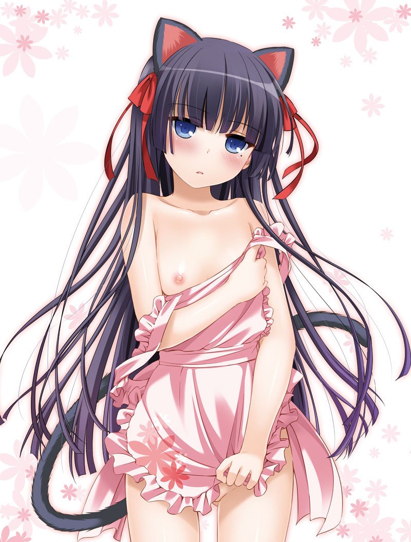 【２次】ちっぱい女の子の二次エロ画像　その２４【貧乳はステータス】