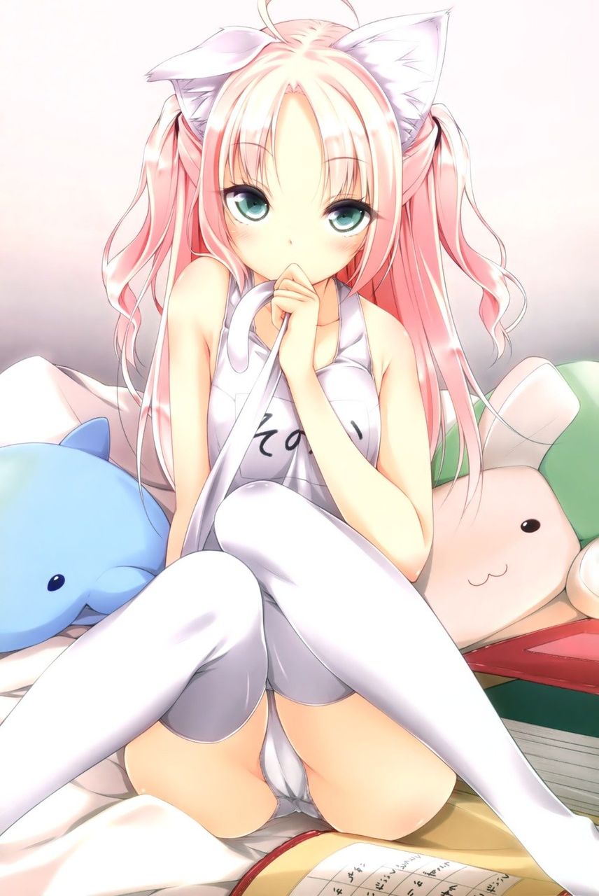 【２次】白いスクール水着を着てる女の子の二次エロ画像【白スク】